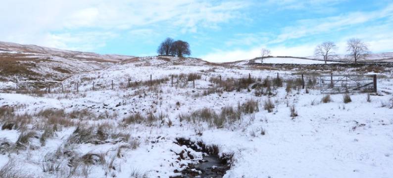 克伦布尔霍尔姆酒店(Crumbleholme)图片