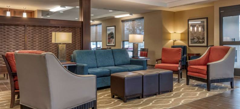 舒适酒店-81号州际公路和宾州收费公路(Comfort Inn PA Turnpike - I-81)图片