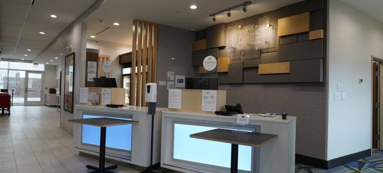 达拉斯市场中心爱田智选假日套房酒店(Holiday Inn Express & Suites Dallas Market Ctr - Love Field)图片