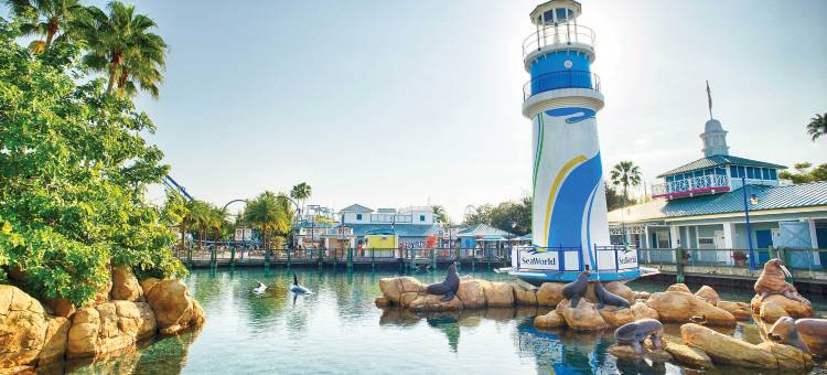 格兰德维斯塔万豪酒店(Marriott's Grande Vista)图片