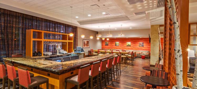 休斯顿市中心欢朋酒店(Hampton Inn Houston Downtown)图片