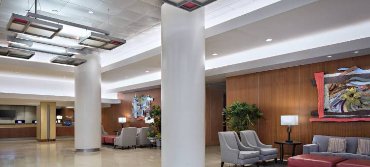 达拉斯-沃斯堡国际机场凯悦丽景湾酒店(Hyatt Regency DFW International Airport)图片