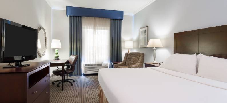 智选假日套房酒店新伊比利亚 - 艾利岛(Holiday Inn Express & Suites NEW IBERIA-AVERY ISLAND by IHG)图片