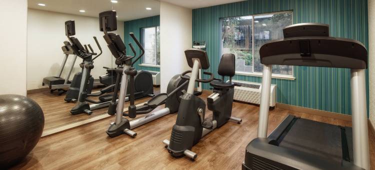 智选假日套房酒店贝尔蒙(Holiday Inn Express & Suites Belmont)图片