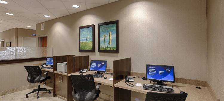 阿西尼波亚卡纳尔塔酒店(Canalta Hotel Assiniboia)图片