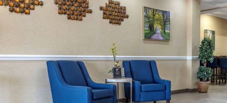 舒适套房酒店(Comfort Inn & Suites)图片