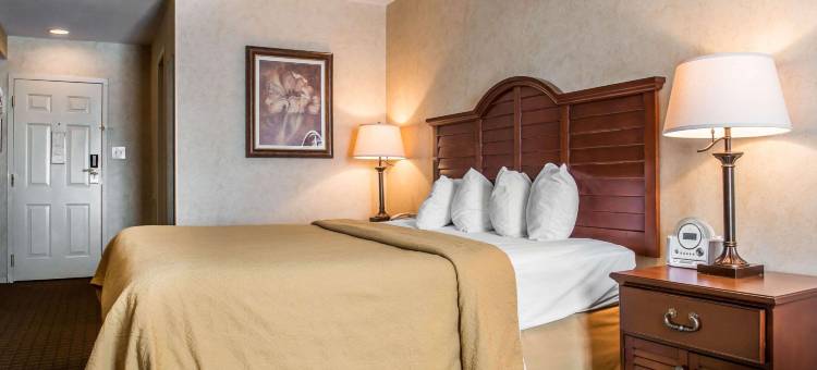 匹兹堡机场凯艺酒店(Quality Inn Pittsburgh Airport)图片