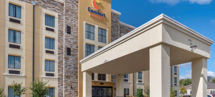 哥伦布机场舒适套房酒店(Comfort Suites Columbus Airport)图片