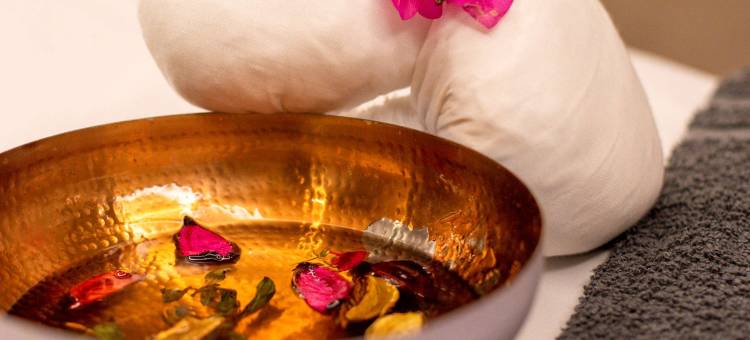 尼亚美丽笙蓝标酒店及会议中心(Radisson Blu Hotel Niamey)图片