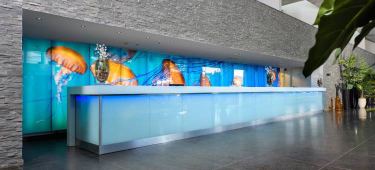 帕帕加海滩酒店(Papagayo Beach Hotel)图片