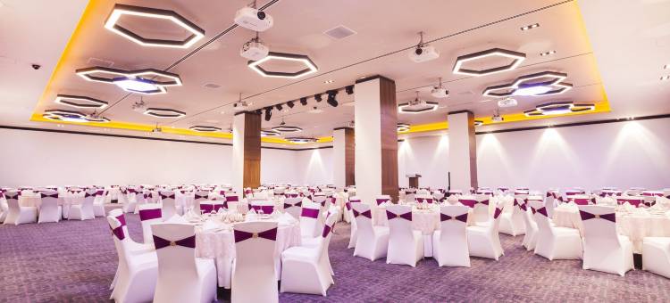 开塞利-杜文诺努假日酒店(Holiday Inn Kayseri - Duvenonu)图片