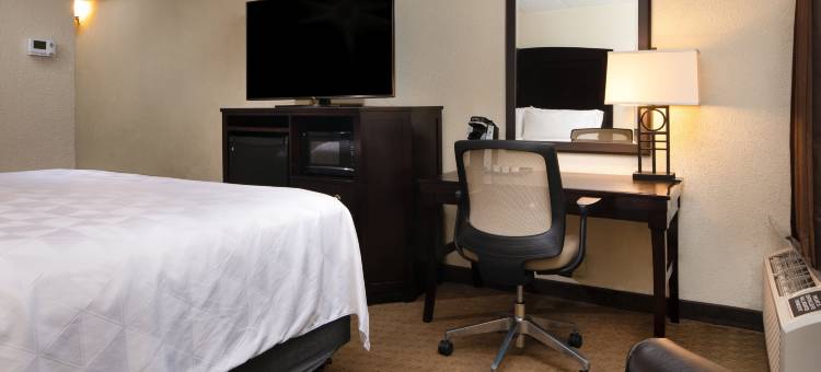 Holiday Inn & Suites 查尔斯顿(Holiday Inn & Suites CHARLESTON WEST by IHG)图片
