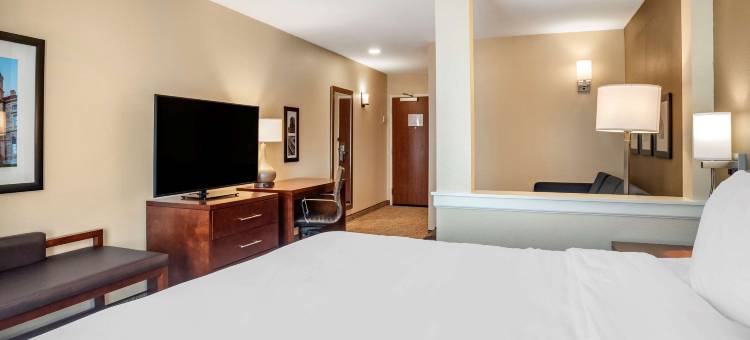 舒适套房酒店(Comfort Inn & Suites)图片