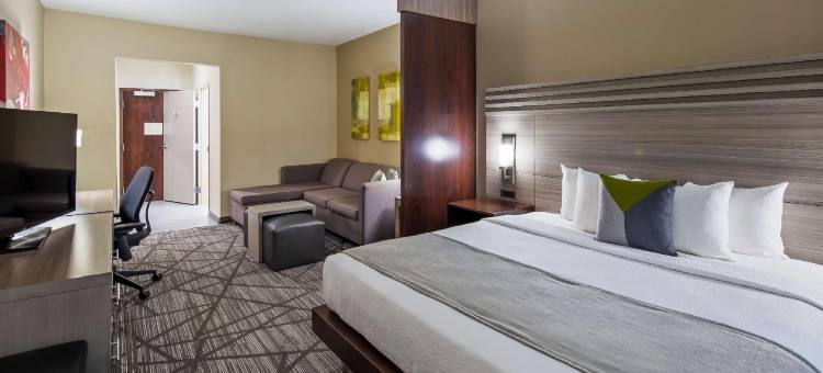 休斯顿 I-45 北 - IAH 舒适套房酒店(Comfort Inn & Suites Houston I-45 North - IAH)图片