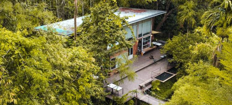 班奈蒙树屋(Bannaimong Treehouse)图片