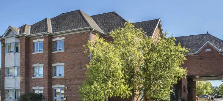 舒适套房酒店(Comfort Suites)图片