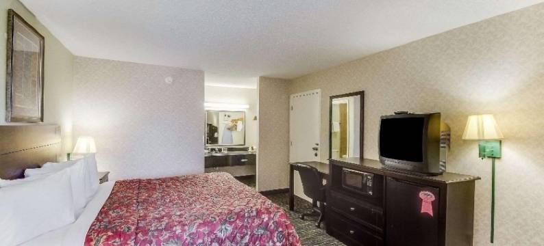 法尔菲里厄斯高速公路281号伊克诺旅馆(Econo Lodge Falfurrias Hwy 281)图片