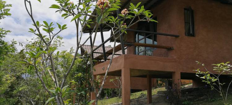 ClayCraft咖啡画廊民宿(ClayCraft Coffee Gallery Homestay)图片