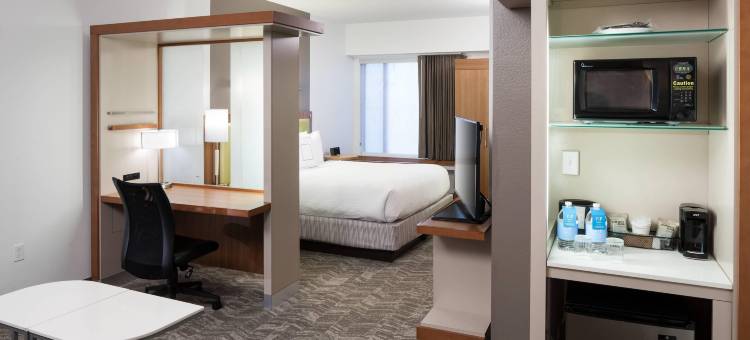 SpringHill Suites Orlando at SeaWorld图片