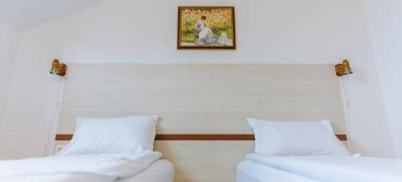 Juliu's Panzio Csikszereda图片