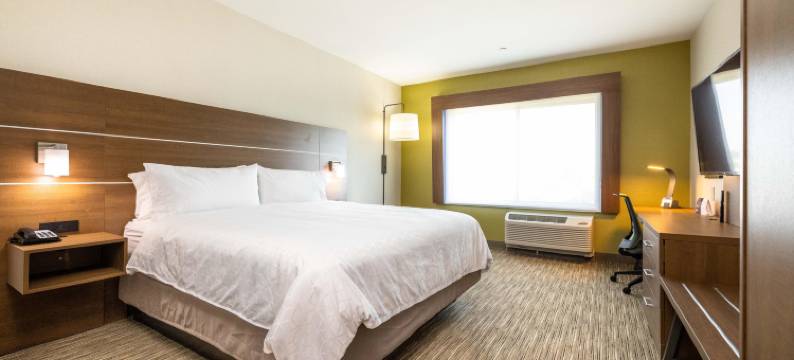 圣何塞硅谷智选假日套房酒店(Holiday Inn Express & Suites SAN JOSE – SILICON VALLEY by IHG)图片