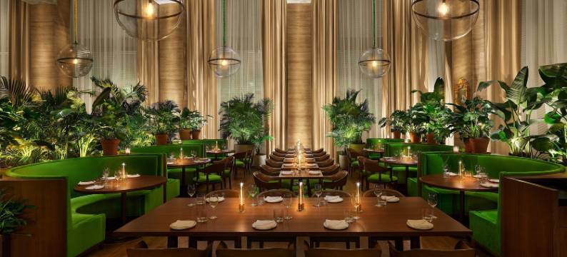 坦帕艾迪逊酒店(The Tampa Edition)图片