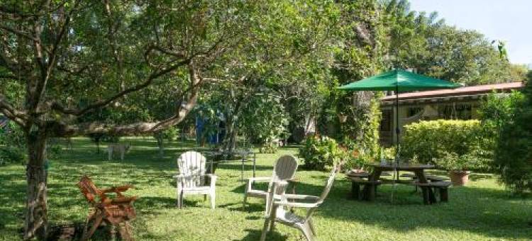哥斯达黎加机场住宿加早餐旅馆(Airport Costa Rica B&B)图片