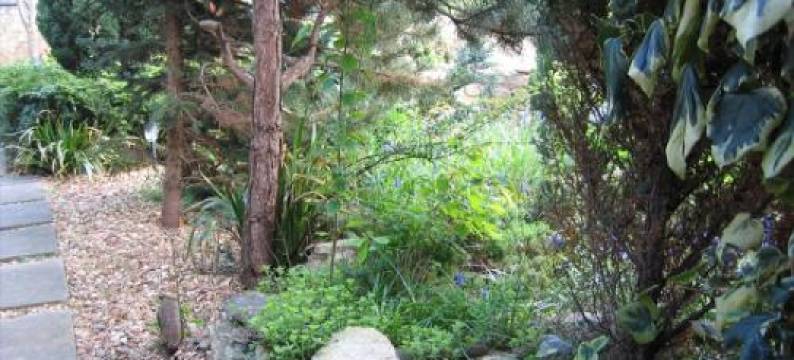 Middle Farm Villa B&B图片