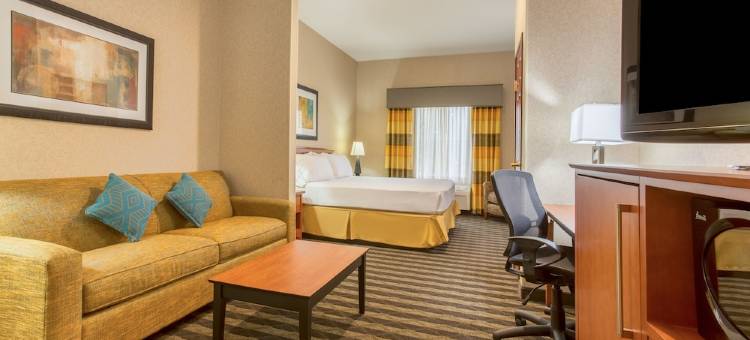 智选假日套房酒店曼特卡南 - 斯托克顿区(Holiday Inn Express & Suites Manteca City Center)图片