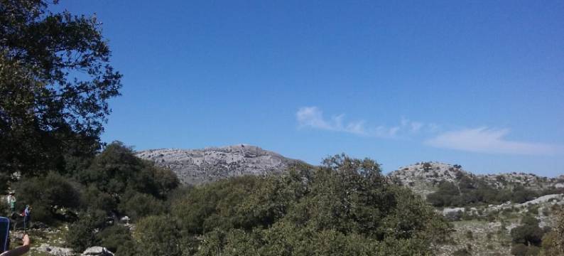 奎尔克斯公寓酒店(Casa Quercus Con Piscina Privada)图片