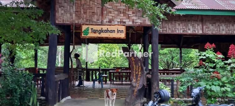 汤卡汉旅馆(Tangkahan Inn)图片