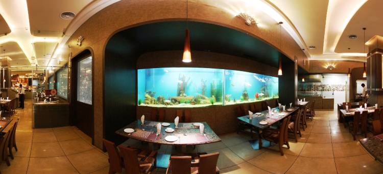 费明纳酒店(Hotel Femina)图片