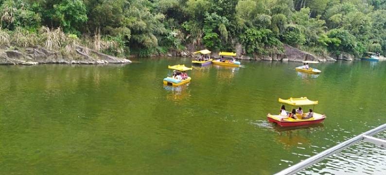 诗意江南特色民宿(芦严线分店)图片