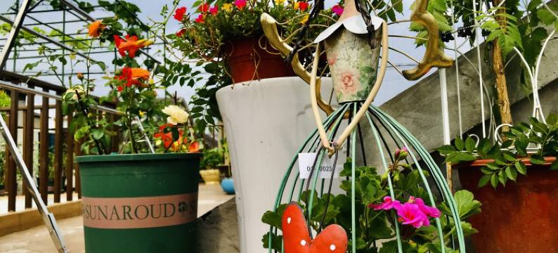 德源古巷民宅客栈(薛家巷分店)图片