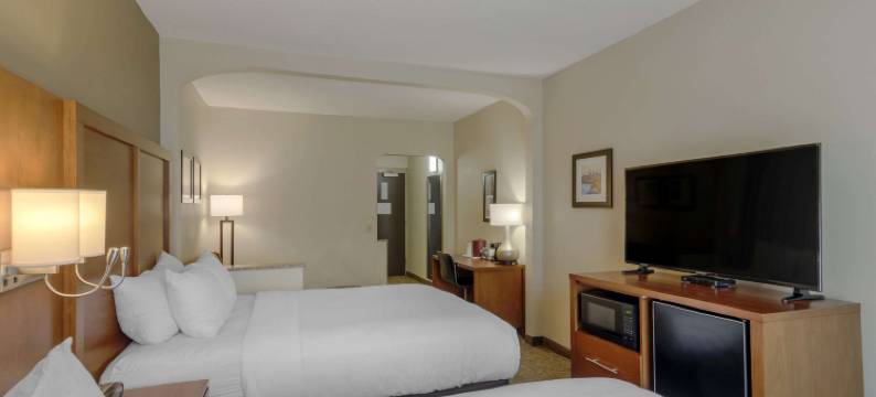 哥伦布州立大学舒适套房酒店(Comfort Suites Columbus State University Area)图片