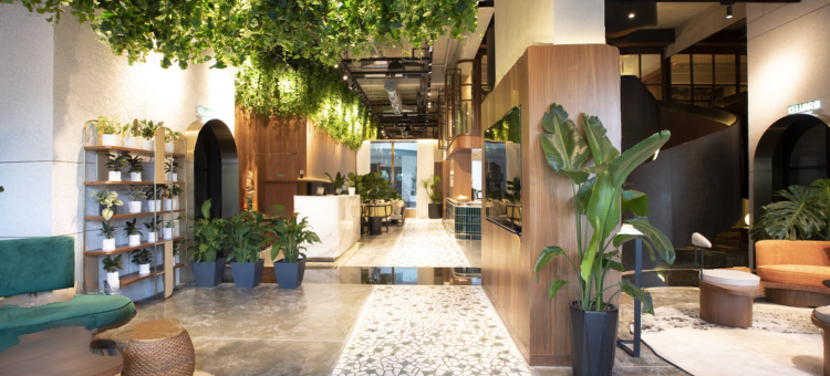 绿蔓酒店- 万豪旅享家设计酒店品牌成员(The Luma Hotel, a Member of Design Hotels)图片
