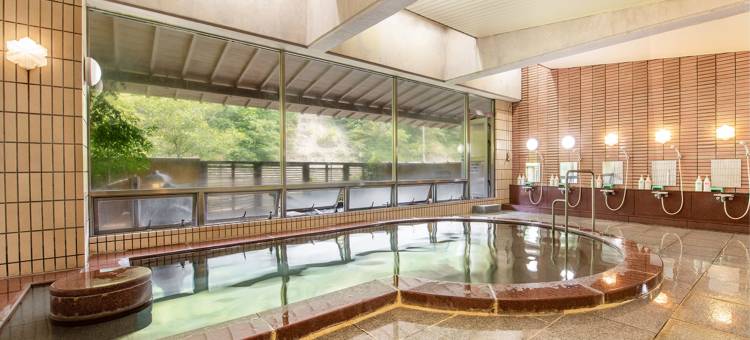 新桦川观光酒店(Shin Kabakawa Kanko Hotel)图片