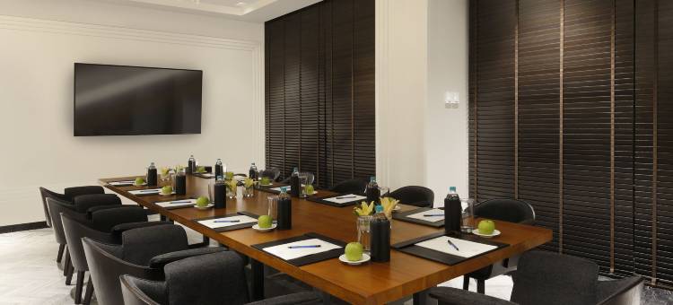 金奈沙米耶尔路诺富特酒店(Novotel Chennai Chamiers Road)图片