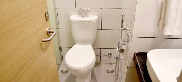 尼米拉那斯达利特套房酒店(Starlit Suites Neemrana)图片