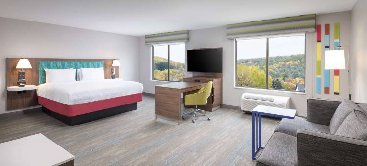 霍内尔欢朋酒店(Hampton Inn Hornell)图片
