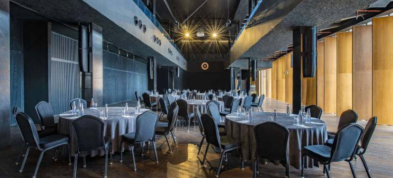 丽笙蓝标伊维利亚酒店-第比利斯(Radisson Blu Iveria Hotel, Tbilisi City Centre)图片