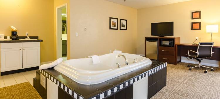 威斯维尔舒适酒店(Comfort Inn Wytheville - Fort Chiswell)图片