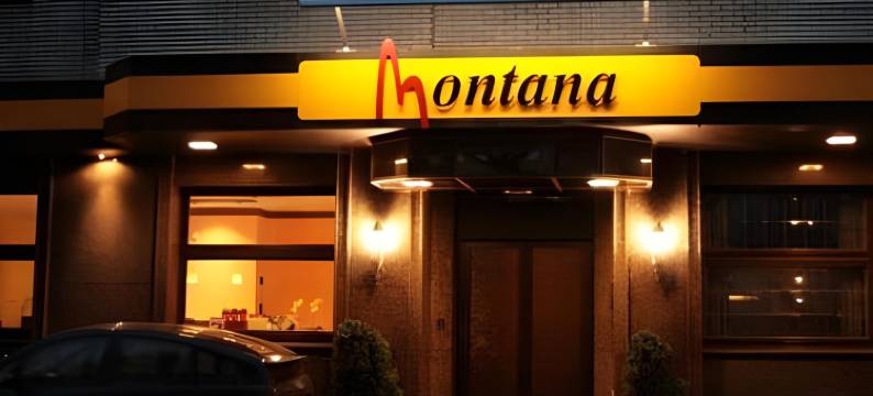 门兴格拉德巴赫蒙大拿酒店(Montana Hotel Mönchengladbach)图片