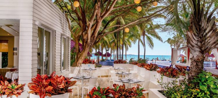 桑斯坎昆酒店(The Sens Cancun by Oasis - All Inclusive)图片