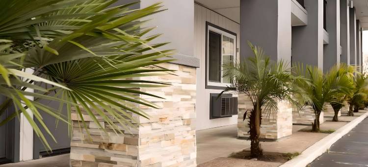 罗德威酒店-圣何塞101号公路塔利路出口(Rodeway Inn San Jose Hwy-101 Tully Rd Exit)图片