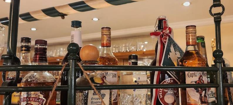 Voglauerhof酒店(Hotel Voglauerhof)图片