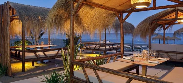 阳光海岸美利亚酒店(Melia Costa Del Sol)图片