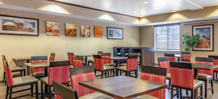 舒适套房酒店(Comfort Suites)图片