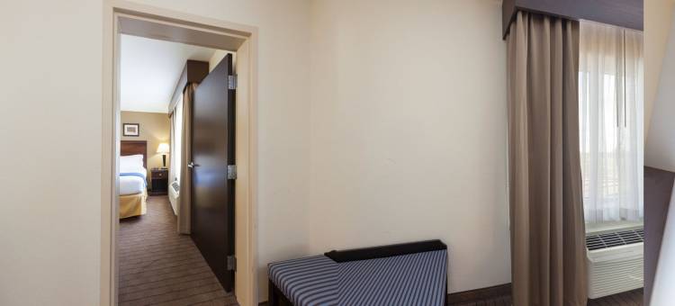 智选假日套房酒店莫尔特里(Holiday Inn Express & Suites Moultrie)图片