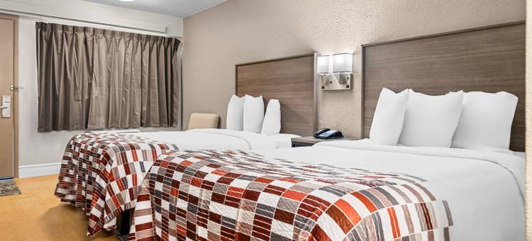 坦帕集市广场 红顶酒店(Red Roof Inn Tampa Fairgrounds - Casino)图片